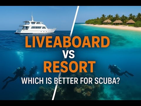 Liveaboard vs Resort: which one should YOU book?