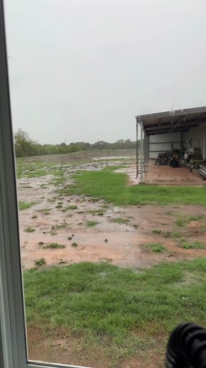 The rain turtle is working #rainturtle #rain #nativeamerican #nativetiktok #texas @heritage house homestead @heritage house homestead @heritage house homestead