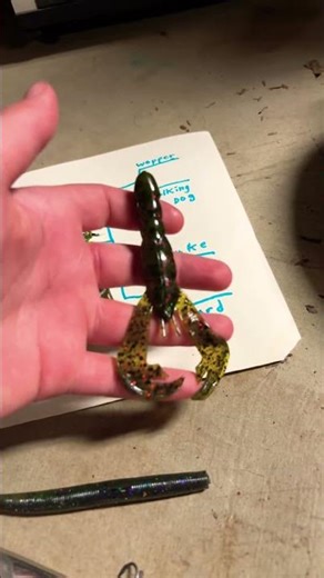 #flyxo #fishing #bassfishing #trending #youtubeshorts #viral #shorts