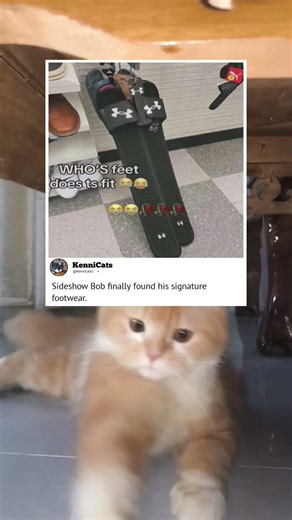 Sideshow Bob finally found his signature footwear