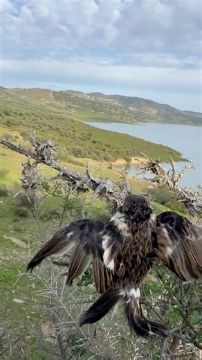 I sleep wherever I fit