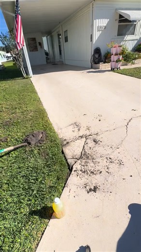 Clean Path Soft Washing & Exterior Solutions, LLC on Instagram: "Is your space looking a bit neglected? Don’t worry, we’ve got you covered! At Clean Path Pressure Washing & Exterior Solutions LLC, We turn abandoned spaces into welcoming places. Our commitment? Going the extra mile. Our recent project included a free driveway repair! Contact us today for a fresh start! #cleanpath #softwash #pressurewash #crackfix Call us at 561-440-4135"