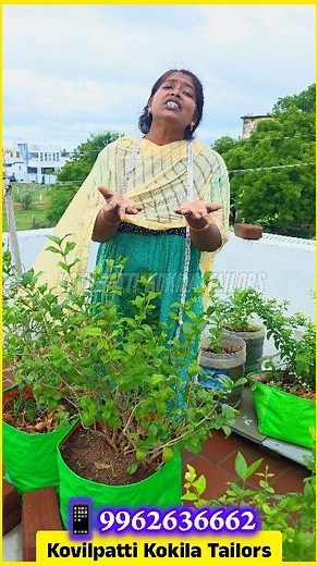 90K views · 854 reactions | SIR form நிரப்ப OTP தேவையில்லை ⁉️勞 #kovilpattikokilatailors #tailor #kovilpatti #tailoring #sir #sirform #sirformfillup  Contact & Business inquires   : kokilatailors007@gmail.com  : +919962636662 , +919751960940 | Kovilpatti Kokila Tailors | Facebook