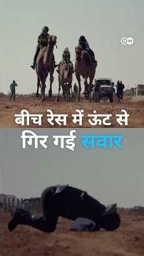 जब रेस के बीच में ही ऊंट से गिरी सवार [Camel race: First-time jockey undeterred after fall]