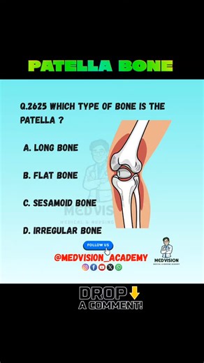 MedVision Academy on Instagram: "Read Caption Comment Right option . 🦴 Patella Bone (Kneecap) – The patella is a small, flat, triangular bone located in front of the knee joint. 📍 Location Present in front of the knee joint Embedded within the quadriceps tendon Articulates with the femur 🧠 Type of Bone ✅ Sesamoid bone (largest sesamoid bone in the body) ⚙️ Functions of Patella 🦵 Protects the knee joint 💪 Increases power of quadriceps muscle 🔄 Improves knee extension efficiency 🛡️ Prevents
