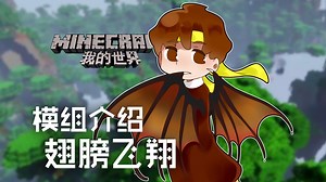 我的世界Minecraft《籽岷的模组介绍 翅膀飞翔》