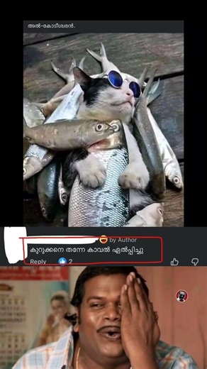 ശോ എന്തൊരു സുഖം 😁| Eda Mone | #shorts