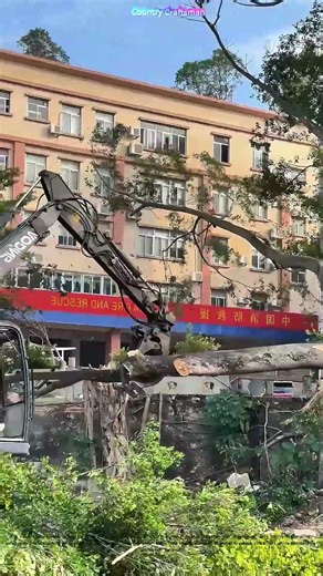 Clipping Canopy Giants: How Mechanized Pruning Protects Urban Forests