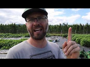 Work Less, Harvest More: My Half-Acre Farming Success With Minimal Weekly Hours!