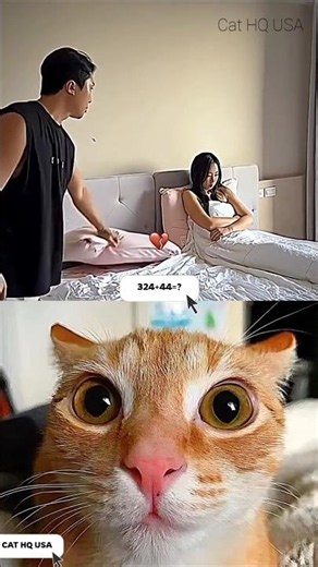 Caught Cheating in 4K! 📸🐈 Wait for the Cat's Reaction 😂