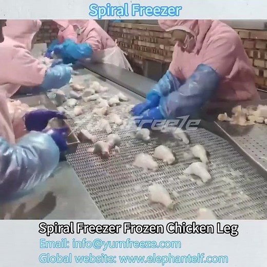 IQF Spiral Freezer Freezing Chicken Leg