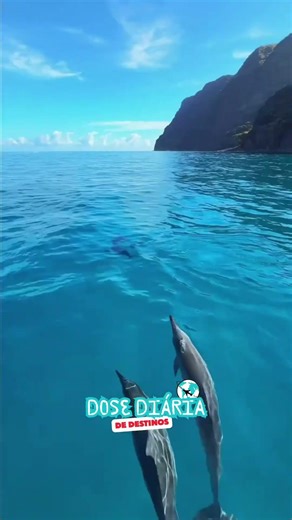 Me promete que um dia iremos juntos para o Havaí 🌺🌊 #viagem #travel #turismo #hawaii