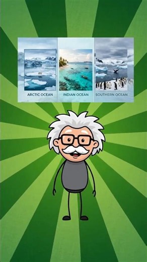 Which is the smallest Ocean in the world ?
