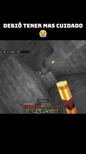 Pobre de mi bro... 😔 #minecraft