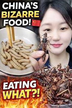 Strange Foods of China You Won’t Believe