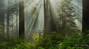 203K views | Join 40K+ Nature Photographer and get Photos Tips, Free eBooks, Discounts & More: https://visualwilderness.com/infocus Enjoy & Share. ____________ #naturephotography #landscapephotography #travel #travelphotography | Visual Wilderness | Facebook