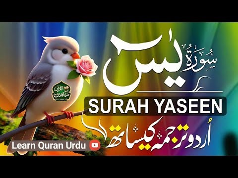 Surah Yaseen with Urdu Translation || Beautiful Quran Recitation for Peace & Healing (سورة يس)