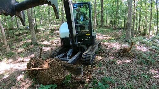 Cutting a new forest road & fixing an old logging trail — mini excavator work
