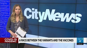 1.6K views · 11 reactions | Dr. Deena Hinshaw expresses concerns over the increase in variant cases of COVID-19 in the province. Laura Krause has more. | CityNews Edmonton | Facebook