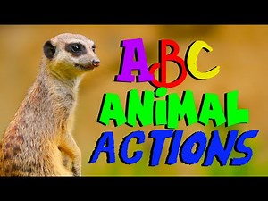 ANIMAL ACTIONS ABC Kids Alphabet Dance Song