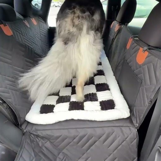 76053905e6df4ff1a27d9f61e49384a7 HD 720p 2 1Mbps 46999543