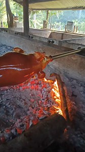 Roasted pig filipino style🥰 #elletsoneros #lechonbaboy #fbreelsvideo | Marckeil Oco Amogis