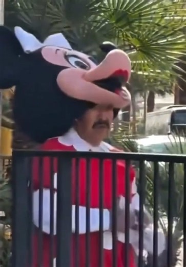 מיני מאוס: תיעוד מפתיע ברשת