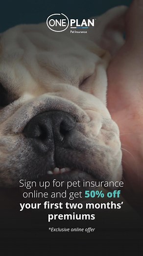 58K views · 139 reactions | When they need care, you shouldn’t stress...