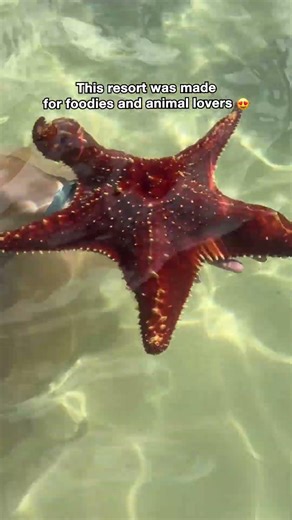 Grand Cayman Marriott Resort