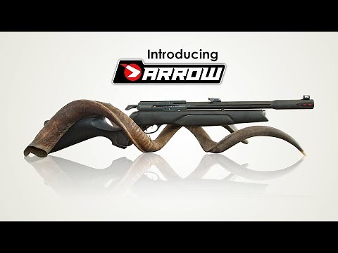 Introducing Gamo Arrow PCP