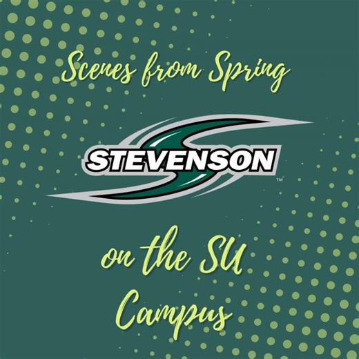 29 reactions | Once spring pops on the Stevenson campus students take to the outdoors for study, lunch, hanging out, and recreating. Check out what early spring days are like here at SU! | Stevenson University | Facebook