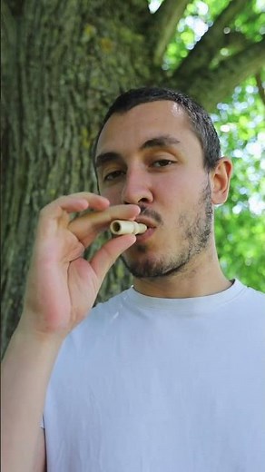 Northern Lapwing Birdcall (Sound Demo)