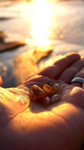 Agate Hunting On The Oregon Coast!! #rockhunting #rockhunter #agatestone #agate #agatehunting