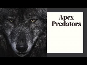 Why Are Apex Predators Critical to Ecosystems?