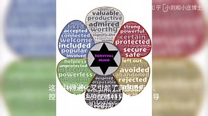 什么是JAK/STAT信号通路？