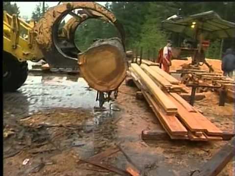 Prince George Sawmill Explosion Felt on Vancouver Island