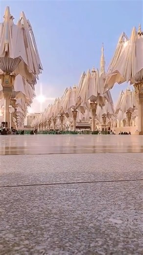 The Truth About Medina’s Giant “Umbrellas”: Engineering Myths vs. Reality