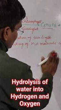 Hydrolysis of water molecules into Hydrogen and Oxygen during photosynthesis in light reaction