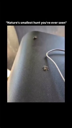 Stop Doomscrolling | Stay Focused on Instagram: "I’ll have your screen time just comment ‘Yes’ I’ll send you an app that helps you: * Block distracting apps 24/7 * Set a time limit every time you open them * Automatically reblock when your time is up. * Wait a delay before every unlock for friction. #reels #funny #fails #humor reelviral fyp fypシ fypage #screentimeinstagram instagood insta explore reel reelsinstag goodvibes detox détox antibrainrot brainrot screentime"