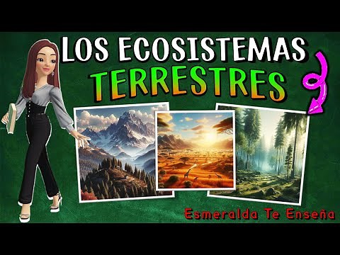 🌍🌱TERRESTRIAL ECOSYSTEMS: Their Types, Characteristics, Flora and Fauna 🌳🐘