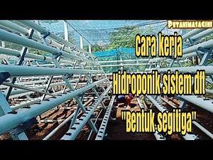 Cara kerja hidroponik sistem dtf bentuk segitiga