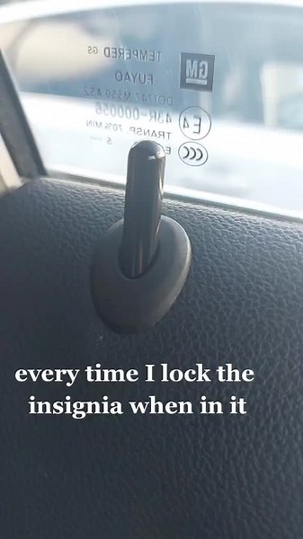 Insignia 1.6 Arkana 1.3 on TikTok