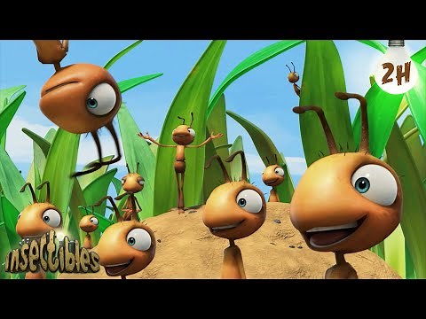 Ants At A Picnic | 🐛 Antiks & Insectibles 🐜 | Funny Cartoons for Kids | Moonbug