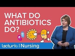 Antibiotics and Bacteria | An Introduction to Anti-Infectives | Pharmacology | Lecturio Nursing