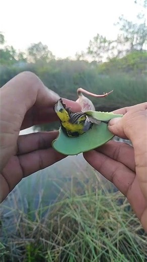 Amazing Nature Discovery 🌿 | Look What We Found!