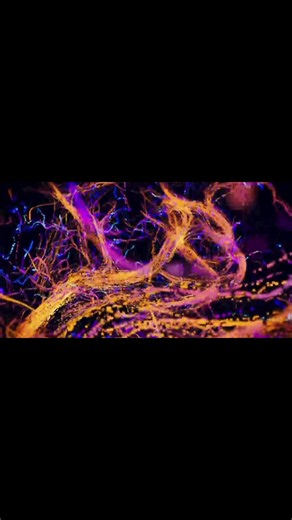 Nuevas imagenes ultra detalladas del cerebro humano 🧠 🤯 #cienciaentiktok #inteligenciaartificial #3d #biologia #viralvideo