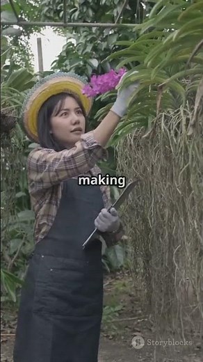 Discover the Queen of Philippine Orchids, the Waling - Waling! 👑🌿