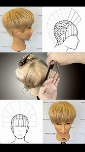 11K views · 551 reactions | HEADCAMERA TUTORIAL: Graduated Pixie A short graduated pixie haircut is characterized by short hair on the sides and back of the neck, while the top hair is longer and can be styled as bangs in the forehead or up/back with gel, depending on your preference. Online Workshop: https://pointcutter.de/produkt/online-workshop-basic-cut/ #pointcutter #haircutting #haireducation #hairtutorial #hairgoals #friseure #coiffure | Verve Studio | Facebook