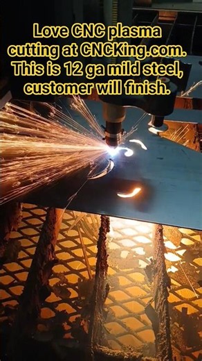 Custom Plasma Cut Steel Sign