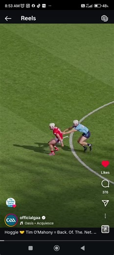 Hurling Essentials: Team Dynamics and Strategies